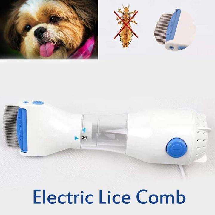 Electric head comb Remove the flea louse