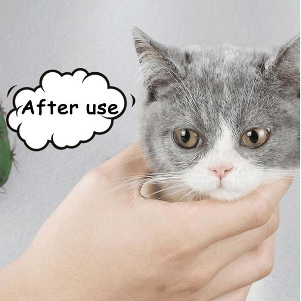 Pet Eye Grooming Wipes（100 pcs）
