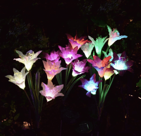 Solar Powered  Lily Flower & butterfly Light