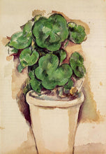 Load image into Gallery viewer, A Pot of Geraniums