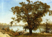 Load image into Gallery viewer, A View from Sacramento