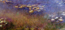 Load image into Gallery viewer, Agapanthus 2