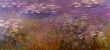 Load image into Gallery viewer, Agapanthus 3