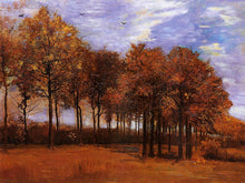 Load image into Gallery viewer, Autumn Landscape