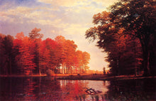 Load image into Gallery viewer, Autumn Woods