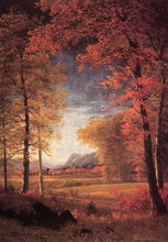Load image into Gallery viewer, Autumn in America Oneida County New York