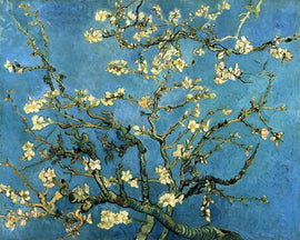 Blossoming Almond Tree