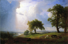 Load image into Gallery viewer, California Spring