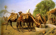Load image into Gallery viewer, Camels at the Trough