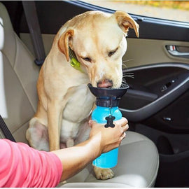 Portable Doggy Bottle