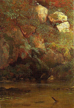 Load image into Gallery viewer, Ferns and Rocks on an Embankment