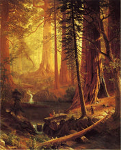 Load image into Gallery viewer, Giant Redwood Trees of California