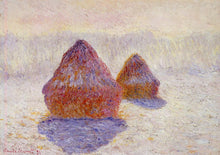Load image into Gallery viewer, Grainstacks White Frost Effect By Monet