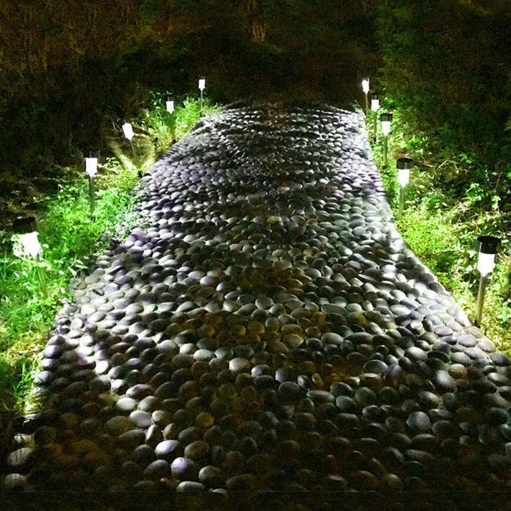 Solar Powered Outdoor Lawn Decorative LED Light