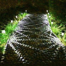 Load image into Gallery viewer, Solar Powered Outdoor Lawn Decorative LED Light
