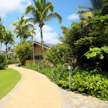 Load image into Gallery viewer, Solar Powered Outdoor Lawn Decorative LED Light