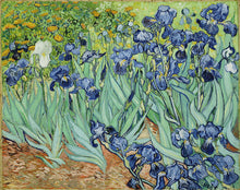 Load image into Gallery viewer, Irises