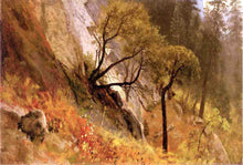 Load image into Gallery viewer, Landscape Study Yosemite California