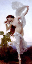 Load image into Gallery viewer, Laurore
