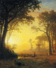 Load image into Gallery viewer, Light in the Forest