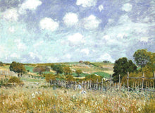 Load image into Gallery viewer, Meadow