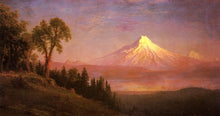 Load image into Gallery viewer, Mount St Helens Columbia River Oregon