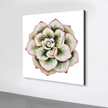 Load image into Gallery viewer, speciosity