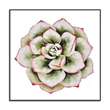 Load image into Gallery viewer, speciosity