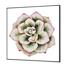 Load image into Gallery viewer, speciosity