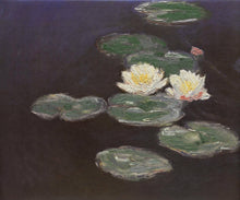 Load image into Gallery viewer, Nympheas Waterlilies