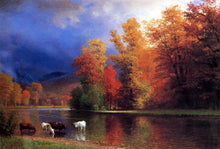 Load image into Gallery viewer, On the Saco