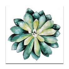 Load image into Gallery viewer, Succulent plant