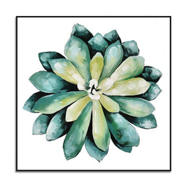 Succulent plant