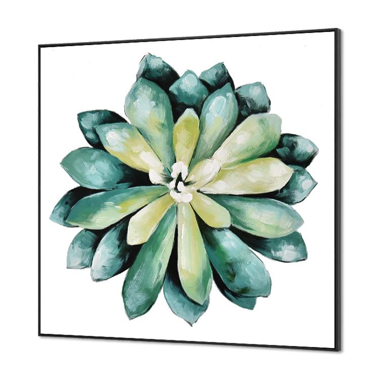 Succulent plant