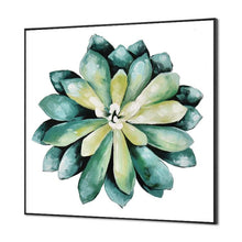 Load image into Gallery viewer, Succulent plant