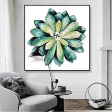 Load image into Gallery viewer, Succulent plant