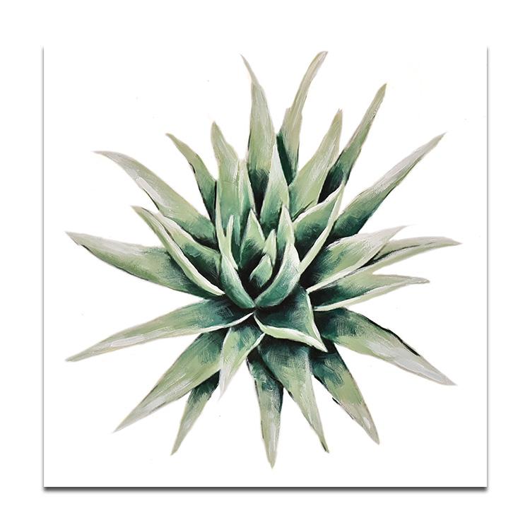 succulent plant#3