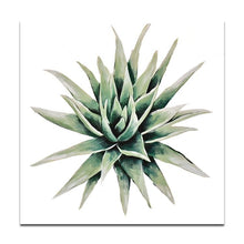 Load image into Gallery viewer, succulent plant#3