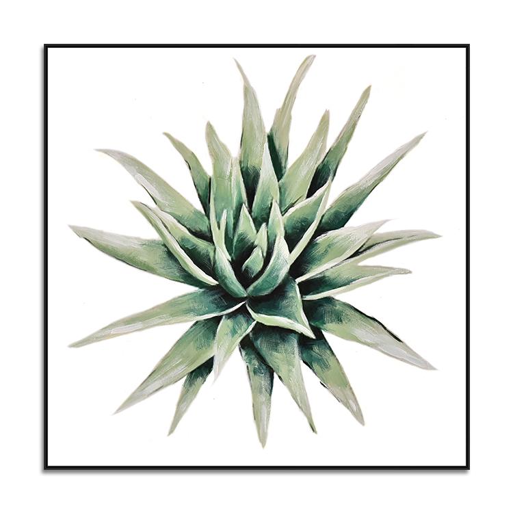 succulent plant#3