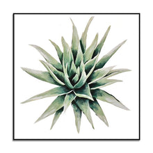 Load image into Gallery viewer, succulent plant#3
