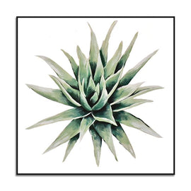 succulent plant#3