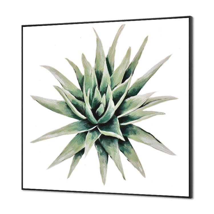 succulent plant#3