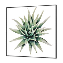 Load image into Gallery viewer, succulent plant#3