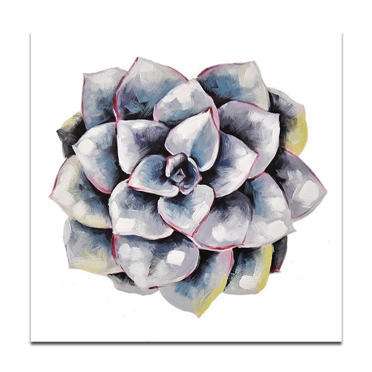 succulent plant#2