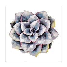 Load image into Gallery viewer, succulent plant#2