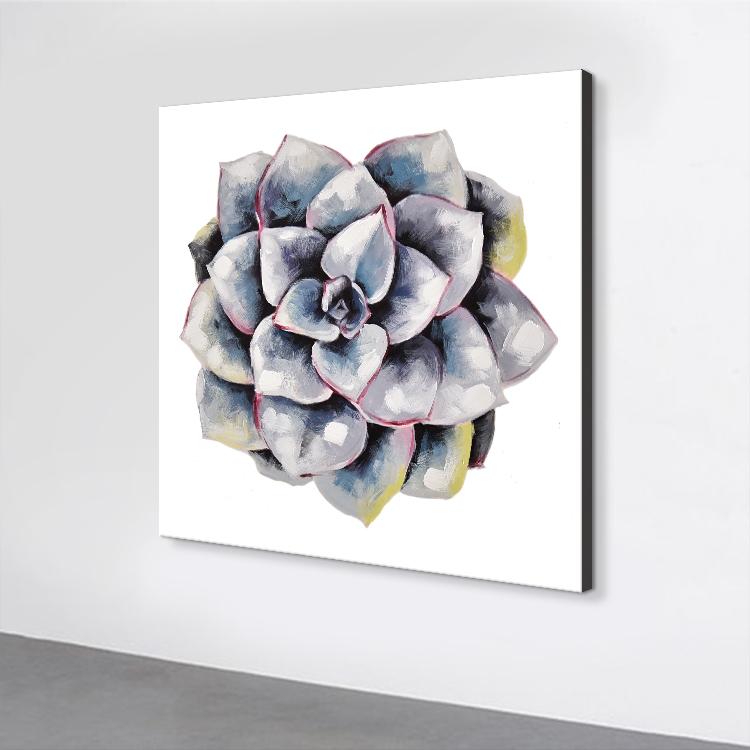 succulent plant#2