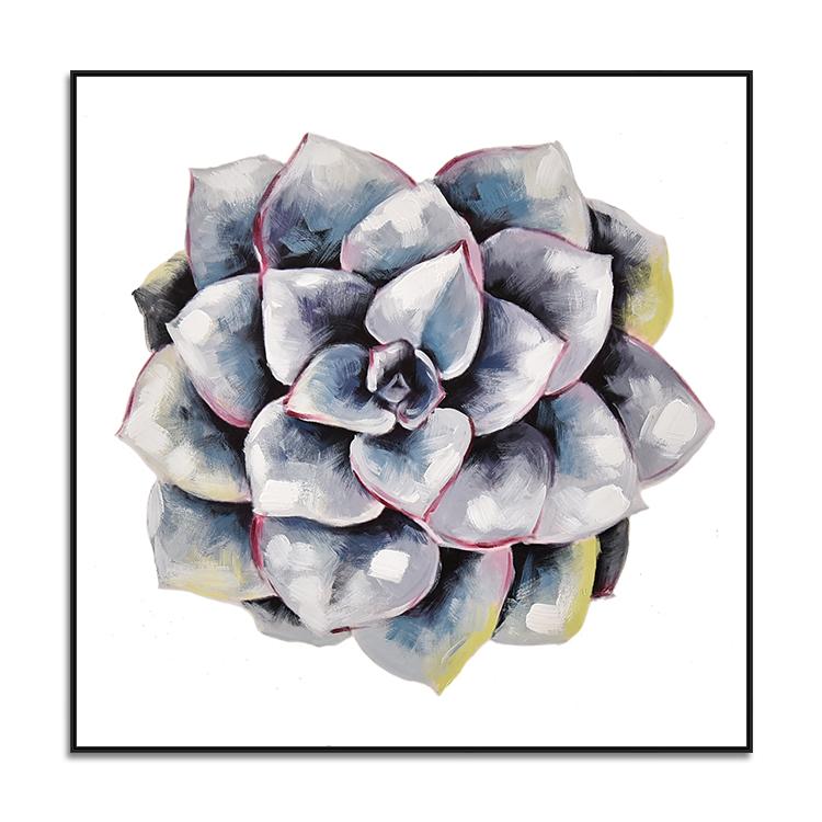succulent plant#2
