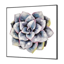 Load image into Gallery viewer, succulent plant#2
