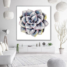 Load image into Gallery viewer, succulent plant#2