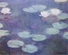 Load image into Gallery viewer, Pink Water Lilies